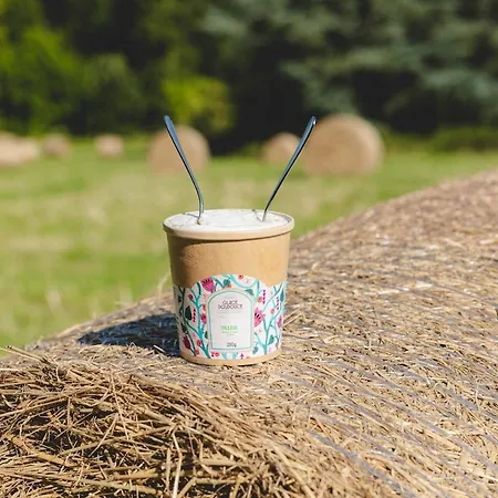 Parcel Tiny House I Richecourt Vue Prairie *