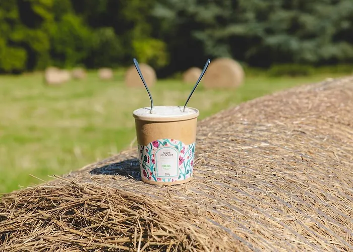 Parcel Tiny House I Richecourt Vue Prairie *